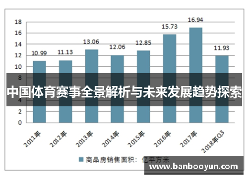 中国体育赛事全景解析与未来发展趋势探索