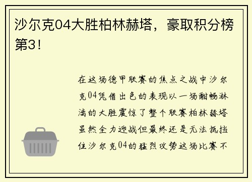 沙尔克04大胜柏林赫塔，豪取积分榜第3！